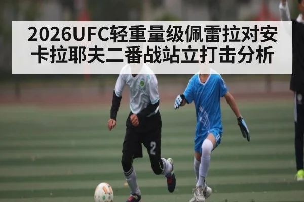 2026UFC轻重量级佩雷拉对安卡拉耶夫二番战站立打击分析